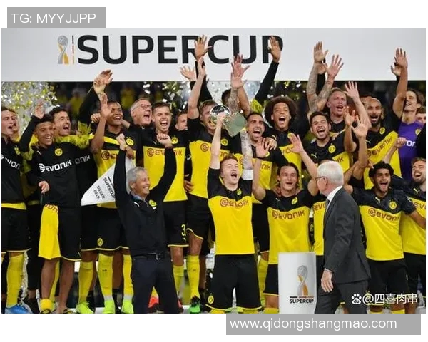 AC米兰与多特蒙德巅峰对决精彩回顾与战术分析