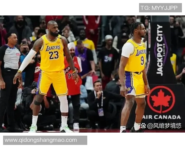 NBA直播网站全方位观赛体验解析